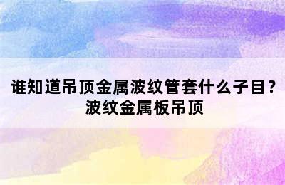 谁知道吊顶金属波纹管套什么子目？ 波纹金属板吊顶